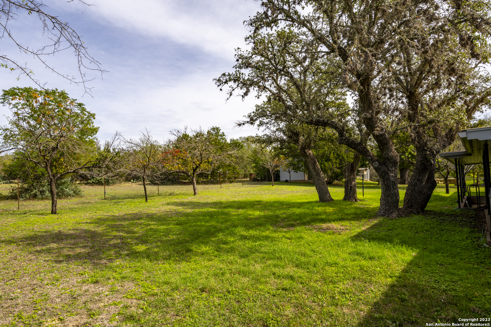 a huge green field with lots of trees