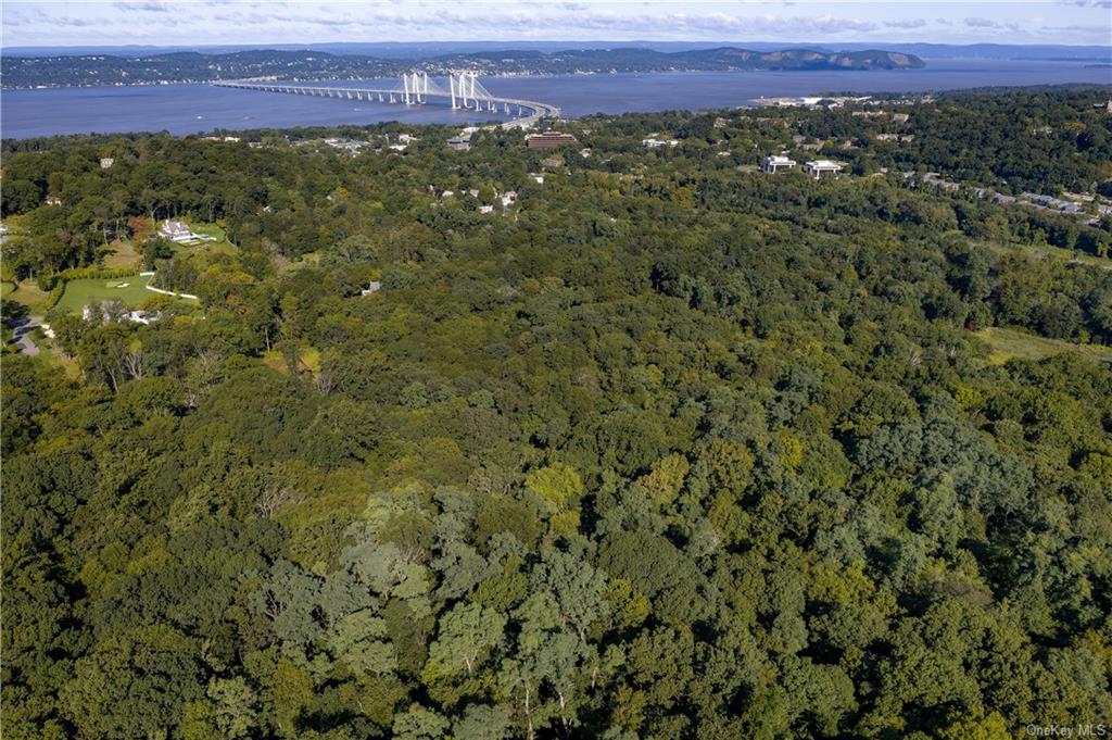 a view of a lush green forest with lots of trees