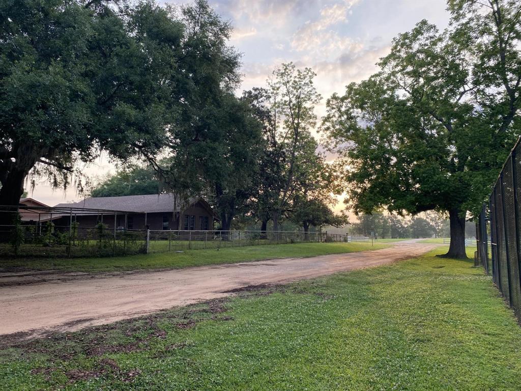 a view of a park and trees