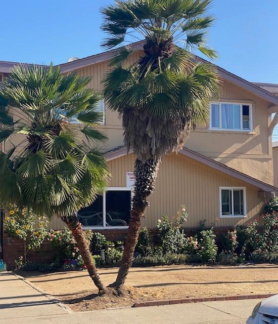 a palm plant sitting in front of a house