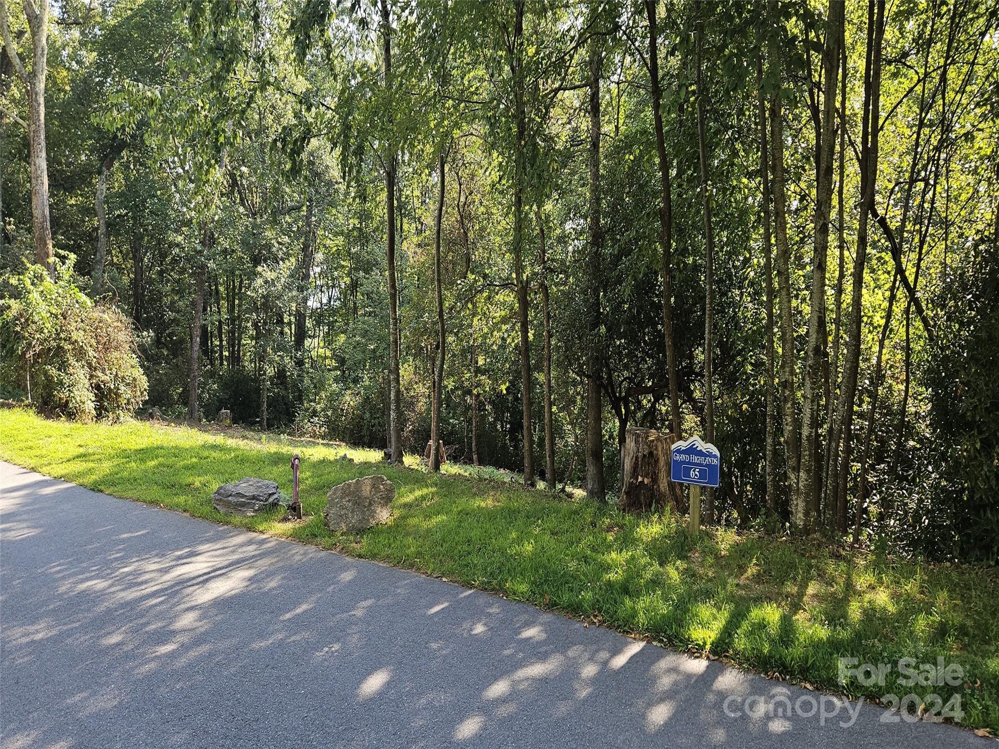 a view of a street with large trees