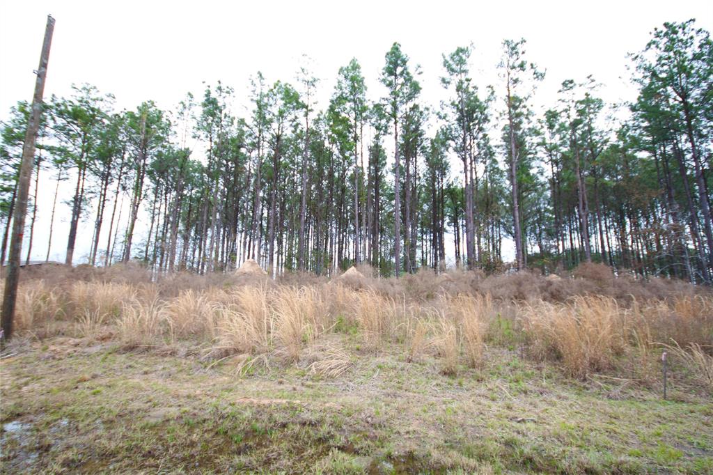 a view of outdoor space and trees