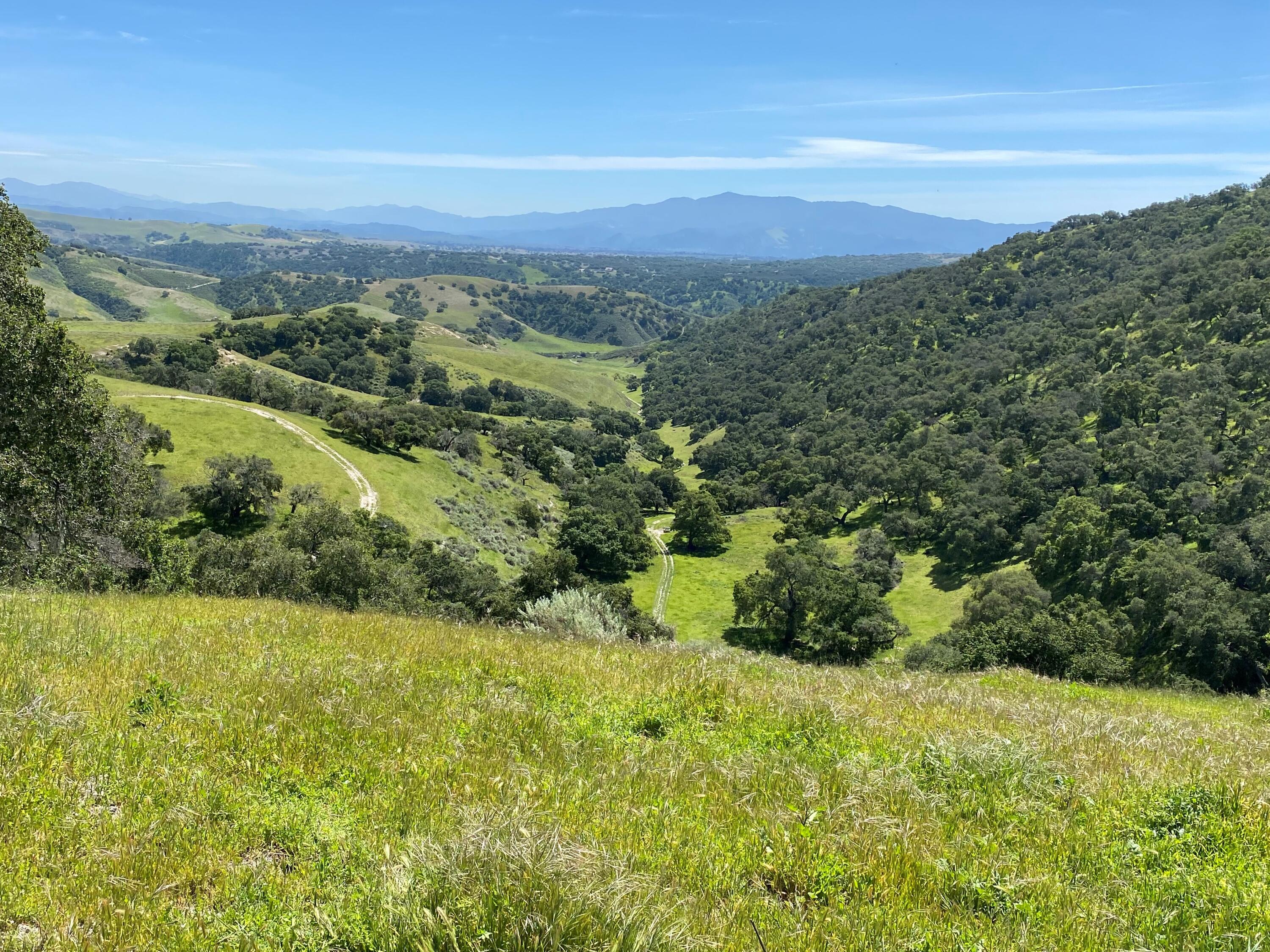 a view of a green field with an ocean view