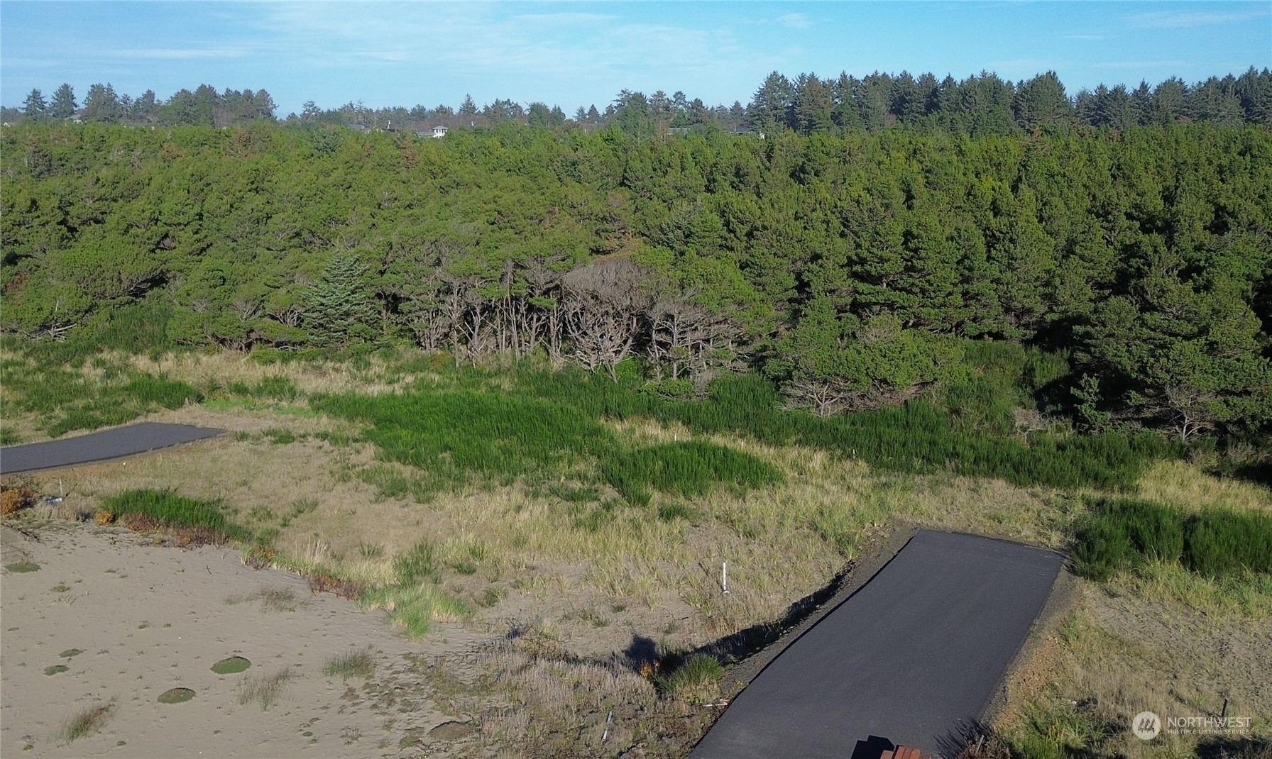 a view of a forest with a forest