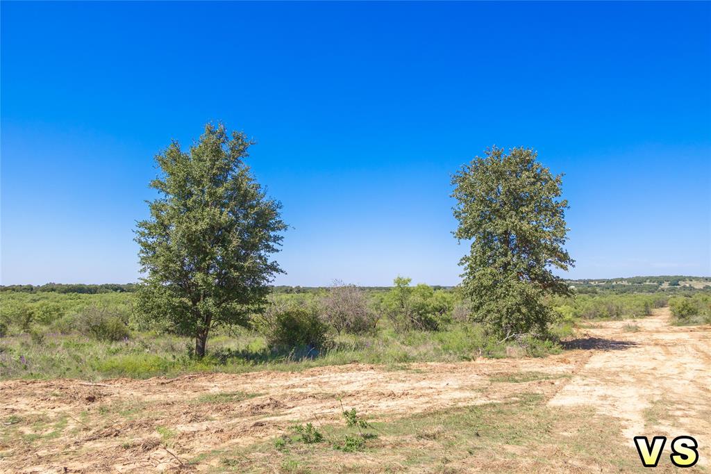 a view of a yard with a tree