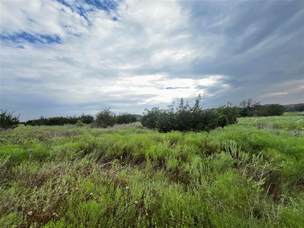 a view of a green field with lots of green space