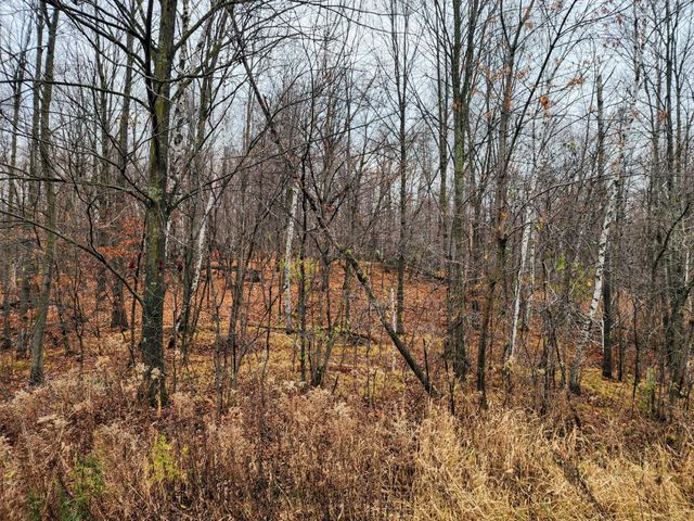 $165,000 | 0 Highway 8 Clinton Twp Wi 54805 | Clinton