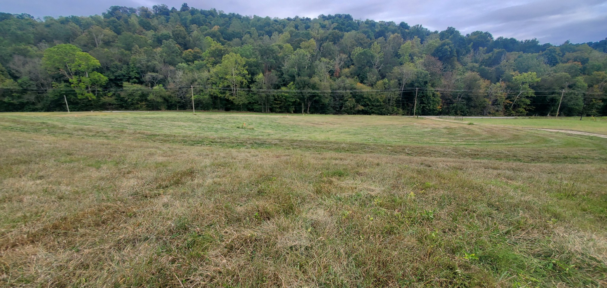 a view of a grassy field with trees in the background