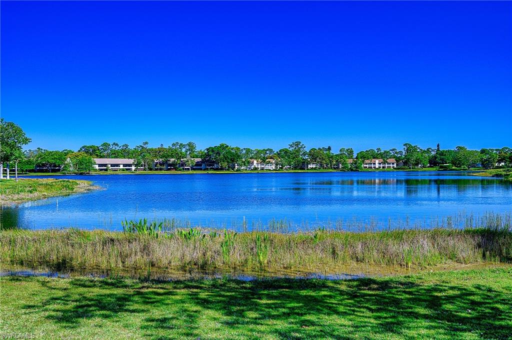 a view of a lake with houses in the back