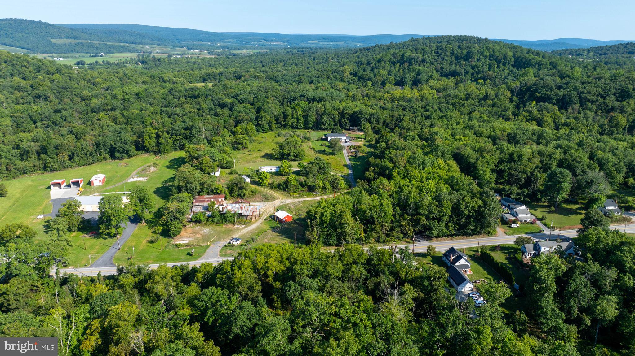 a view of a lush green forest with trees and some houses