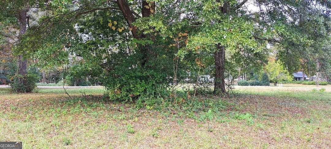 a view of a yard with a tree