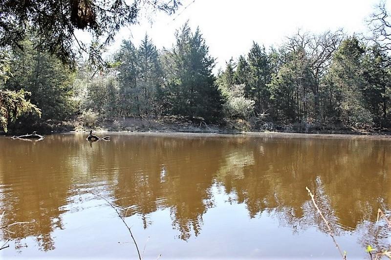 a view of a lake with a large trees