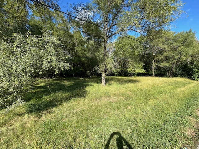 a view of a garden