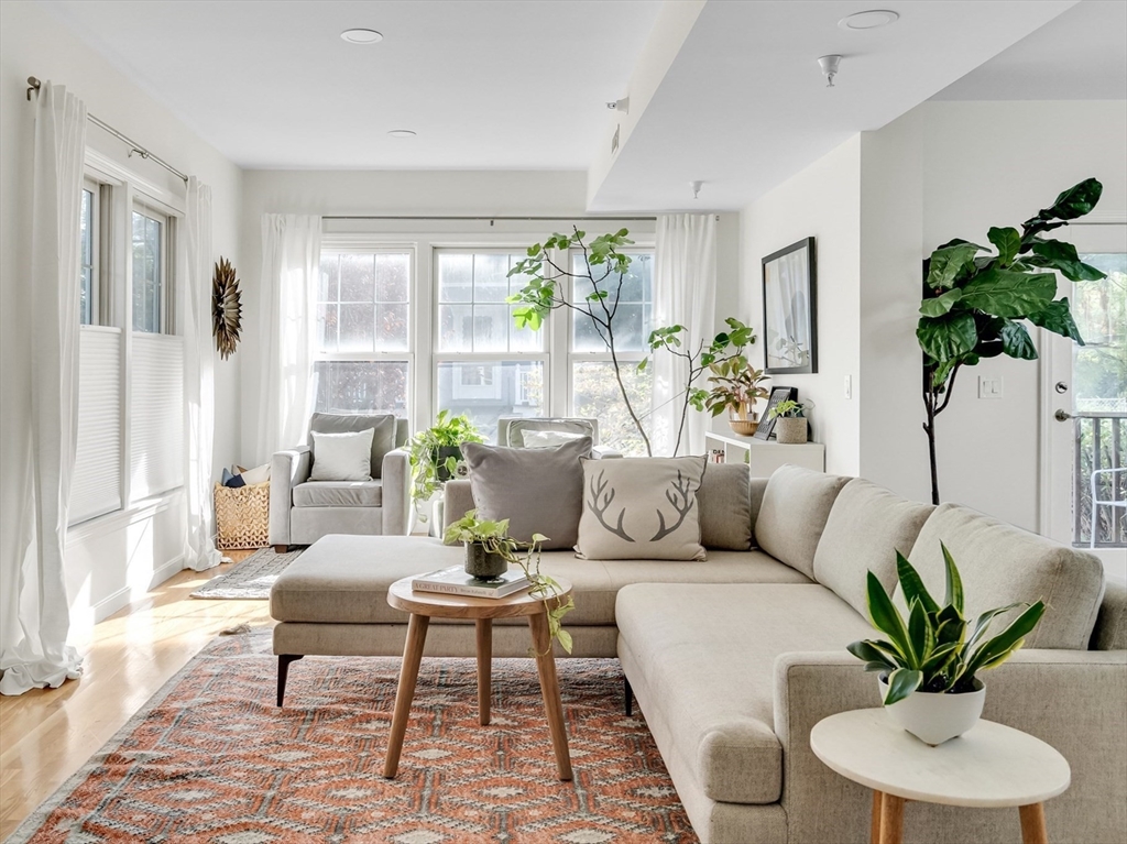 a living room with furniture potted plant and a window