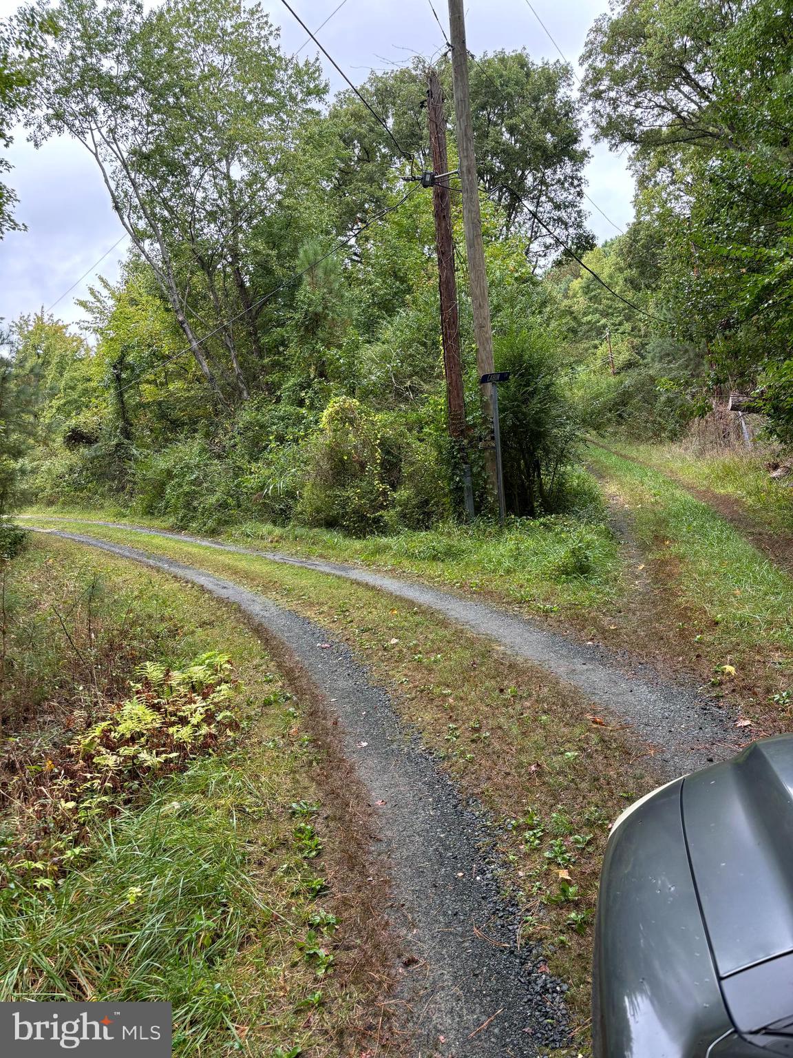 a view of a field with trees