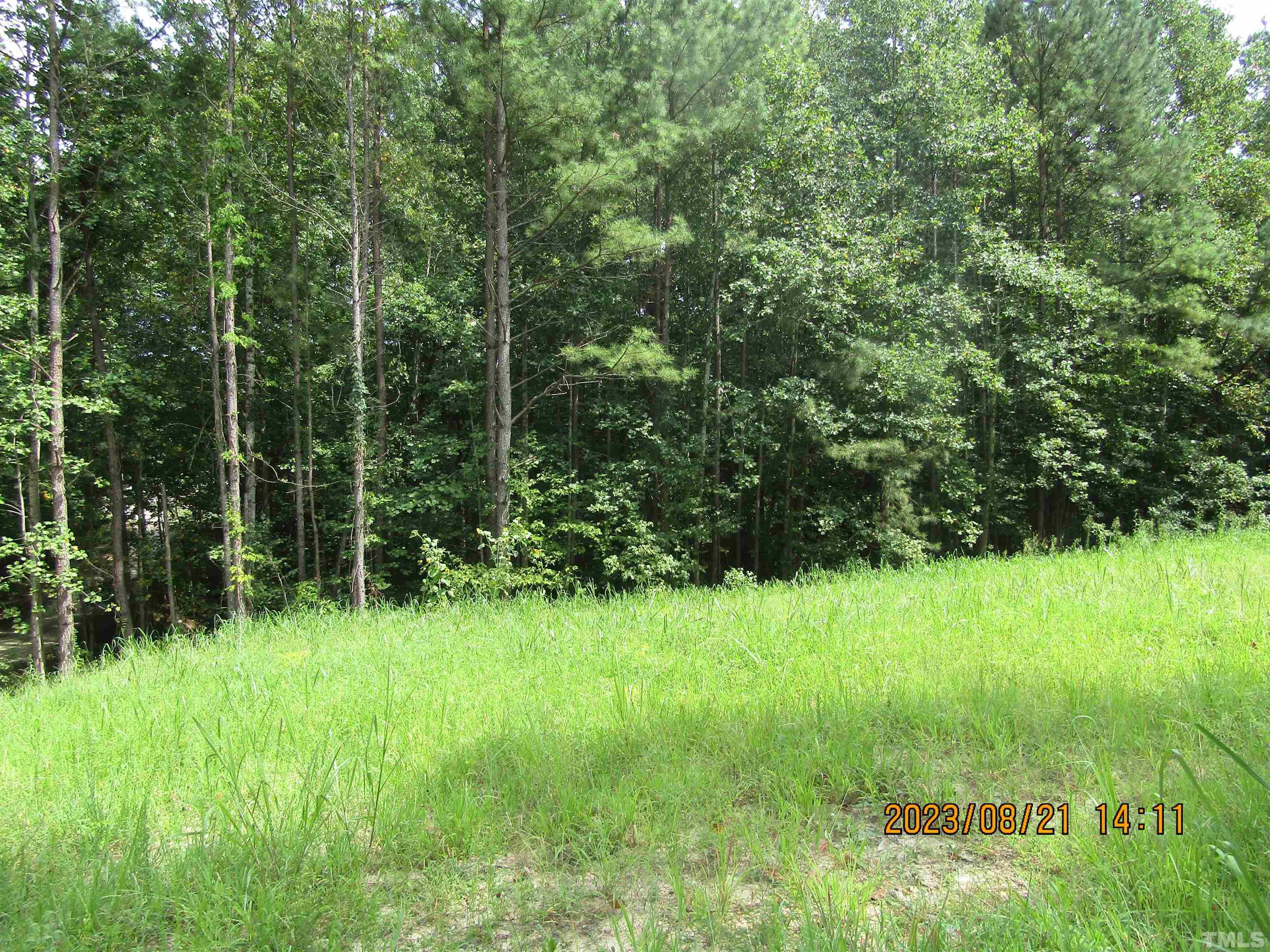 a view of backyard with green space