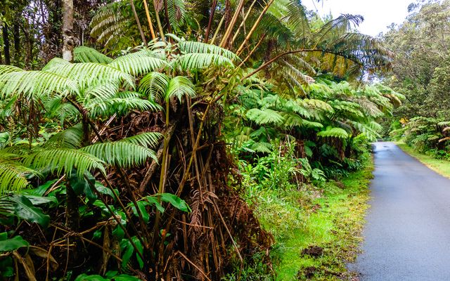 $144,000 | 11-3905 Lot 980 11th Street | Mauna Loa Estates