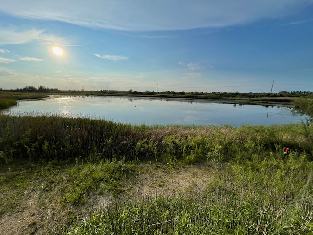 a view of a lake