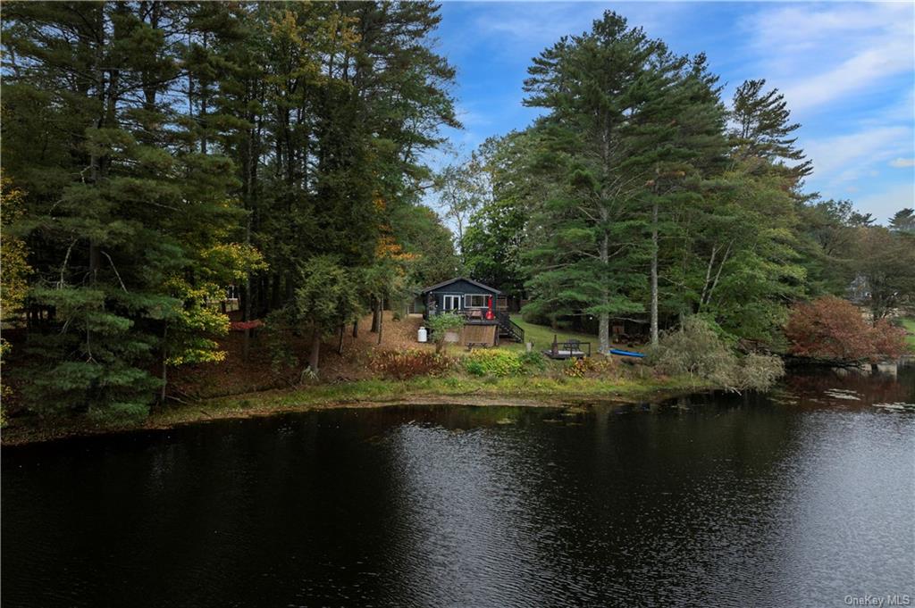 a view of a lake with houses in back