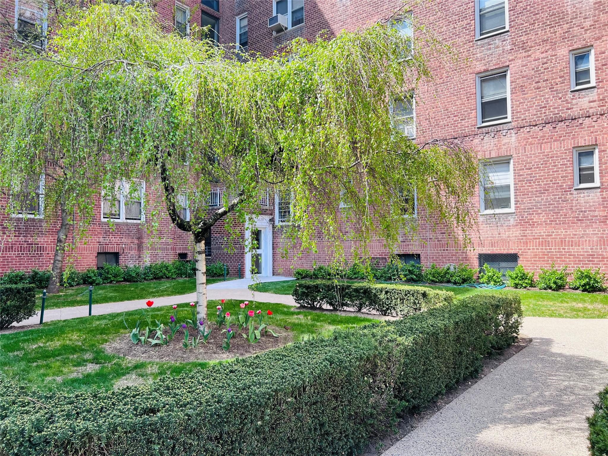 View of home's community with a yard