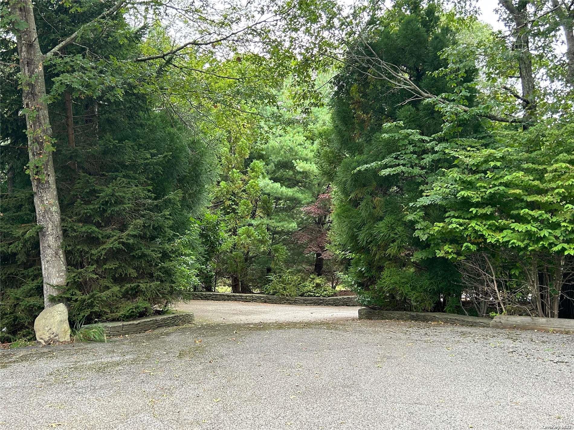 a view of a yard with plants and trees