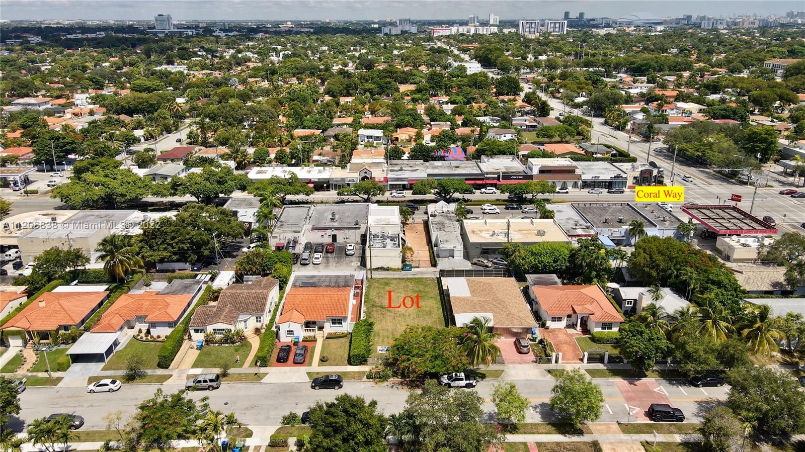 Historic Silver Bluff: Rediscovering Miami's Neighborhoods / Main