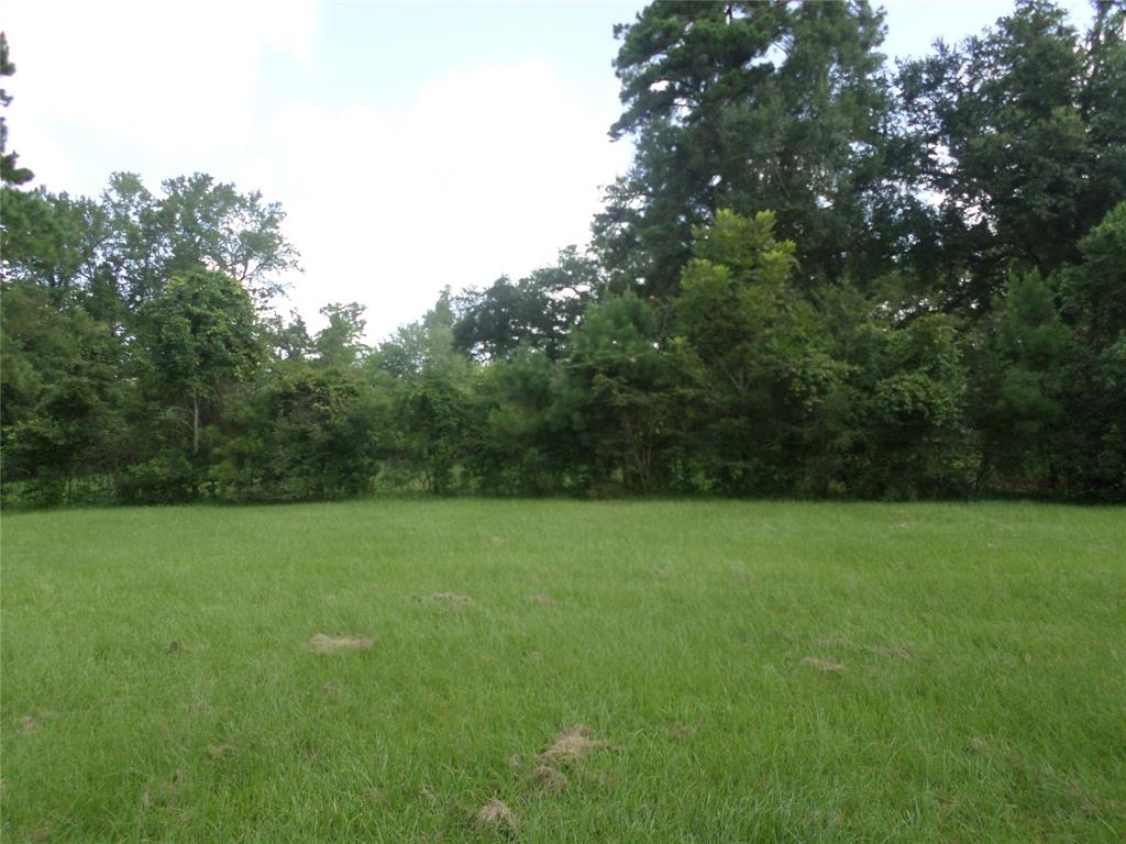 a view of field of grass and trees