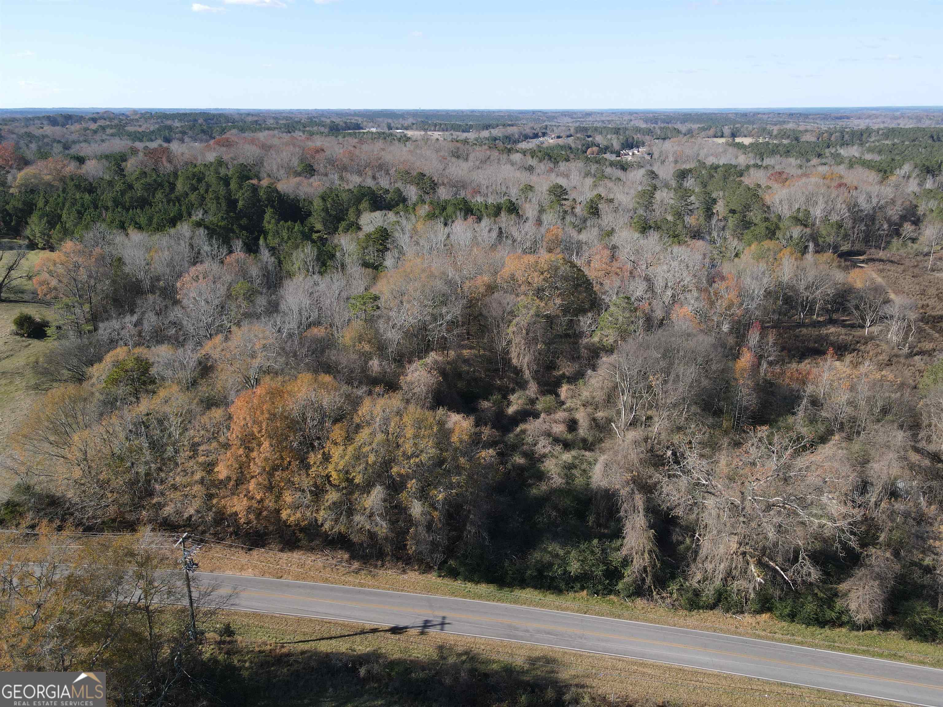 an aerial view of forest