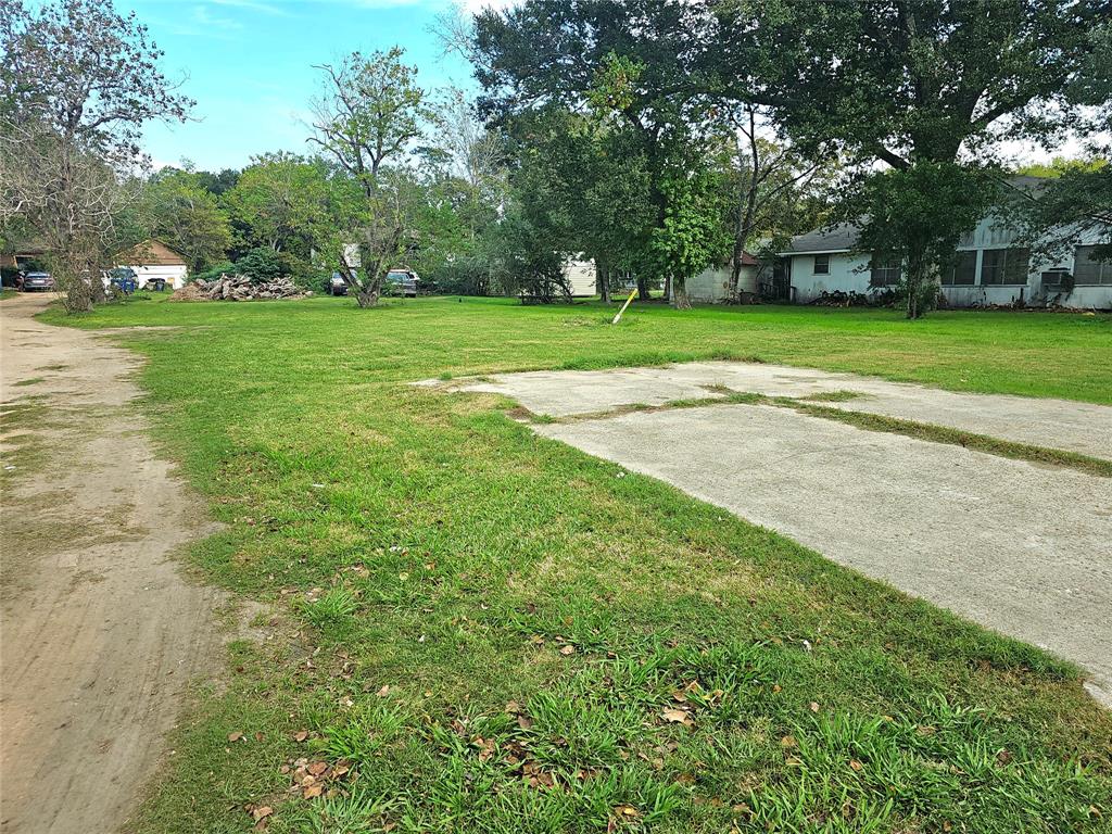 a view of a big yard with plants and large trees