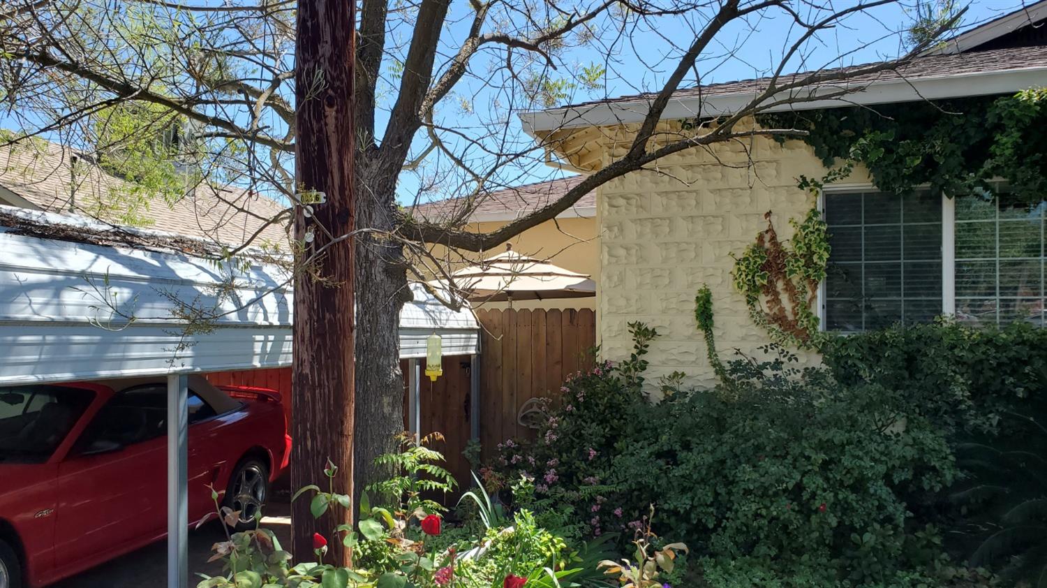 a view of a house with a tree and plants