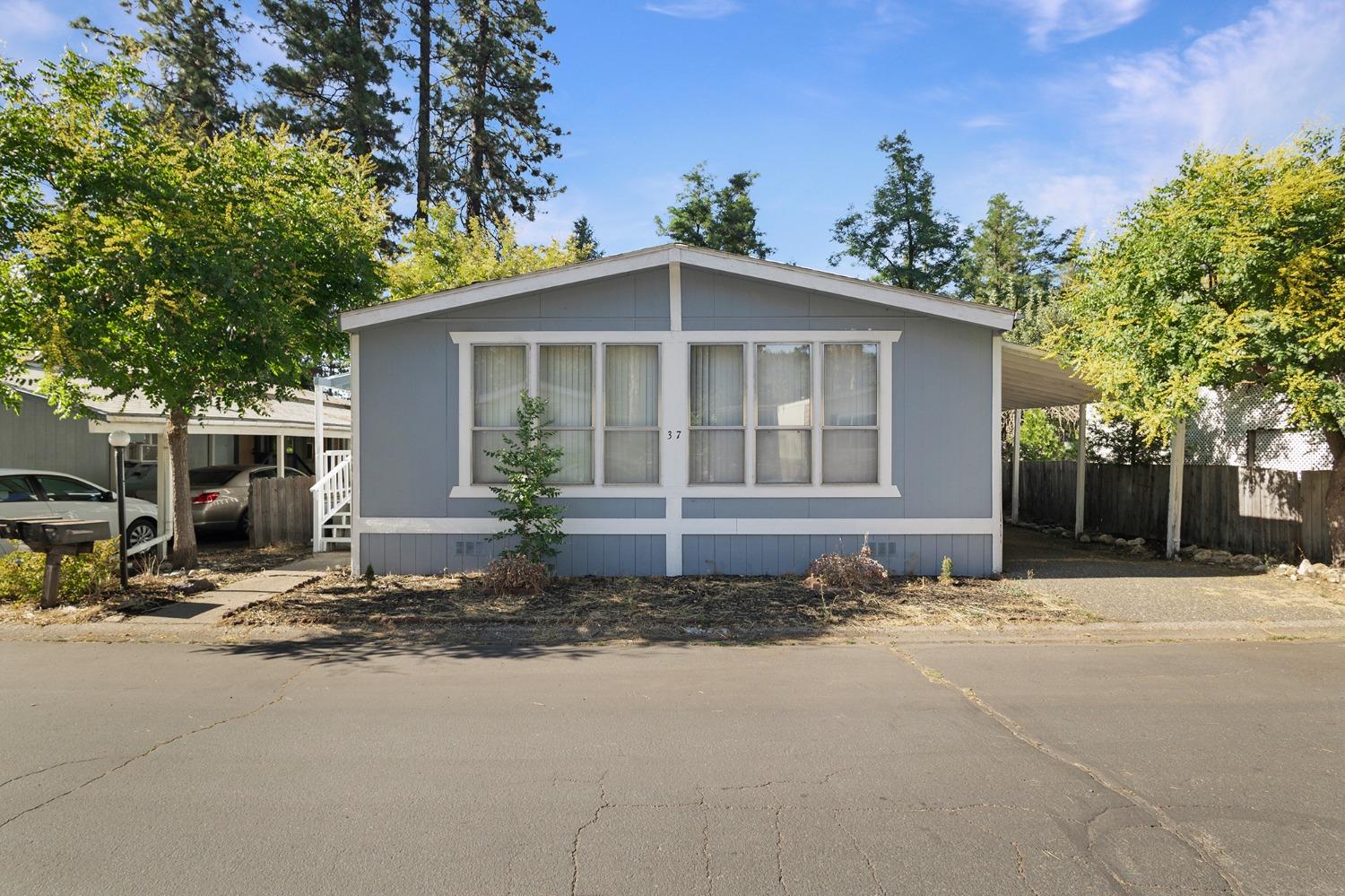 a view of a house with a yard and large tree