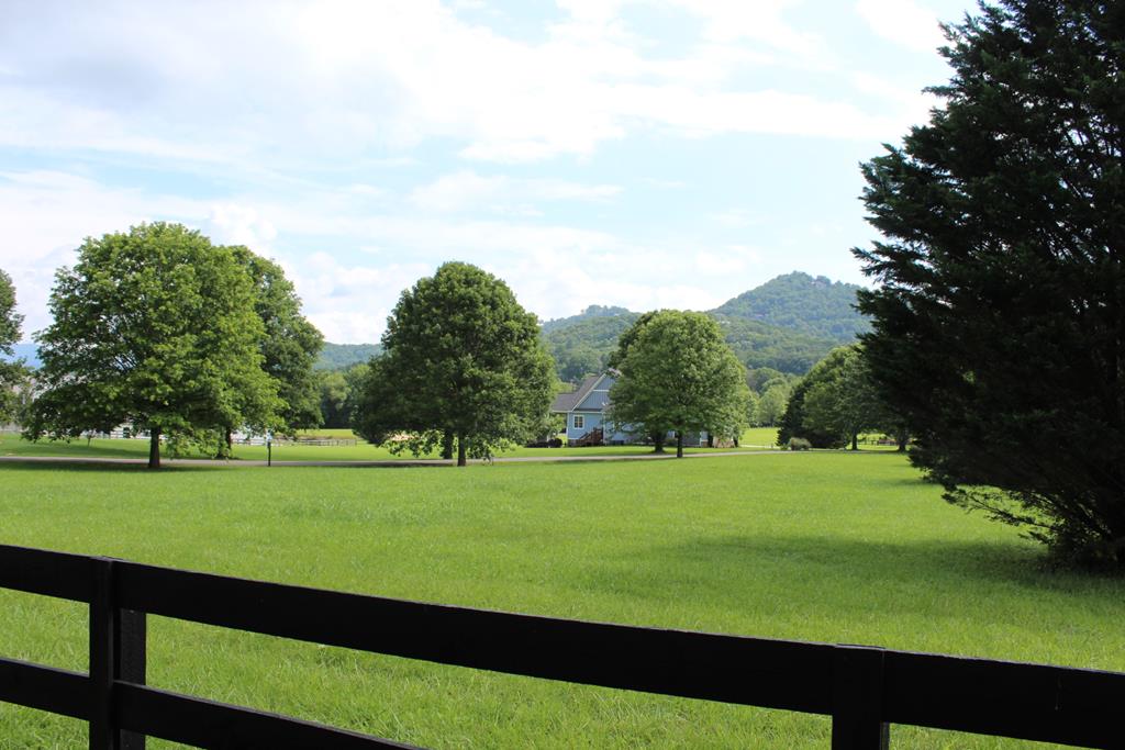 a view of a big yard with a large trees