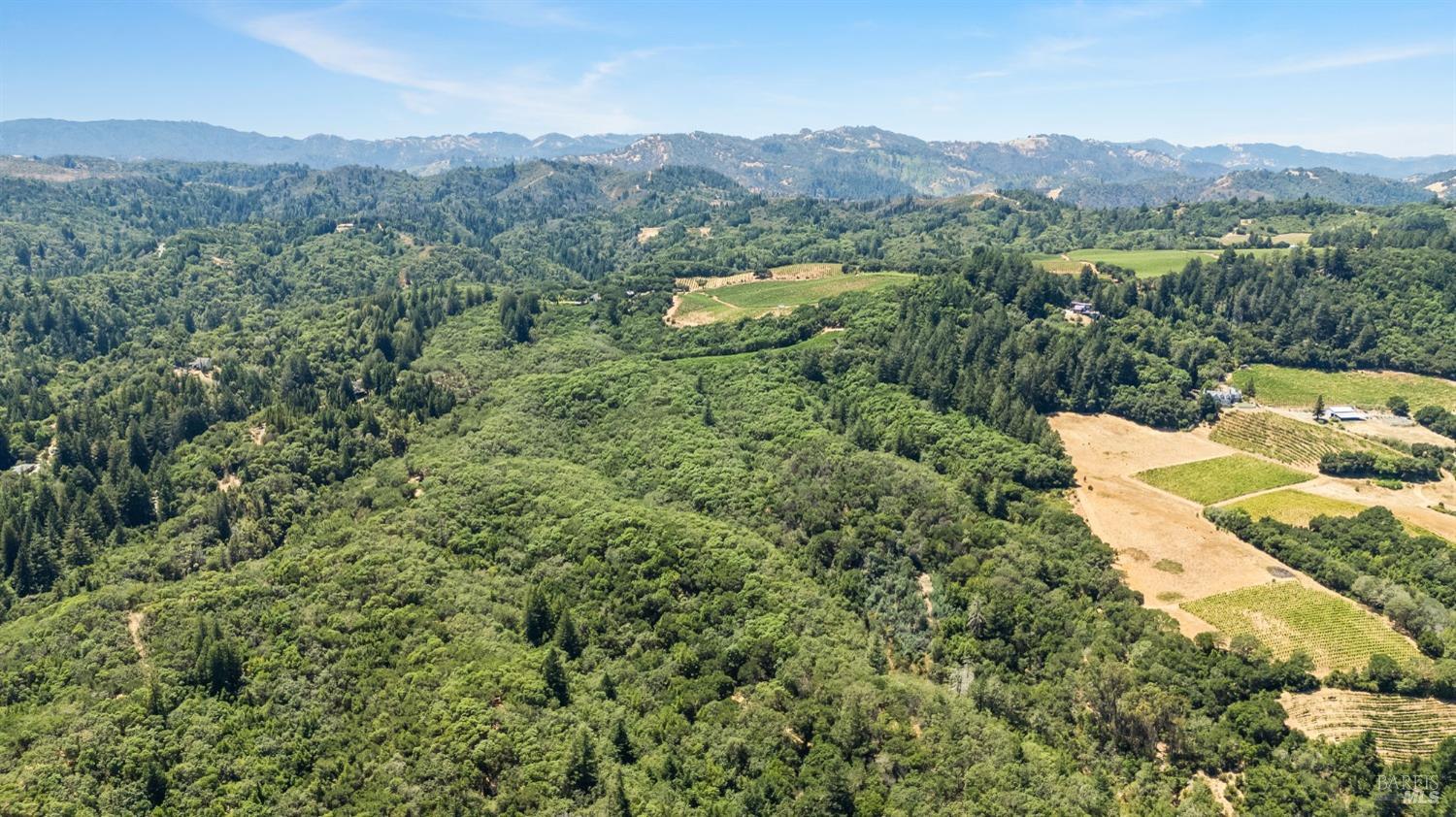 a view of a lush green field with mountains in the background