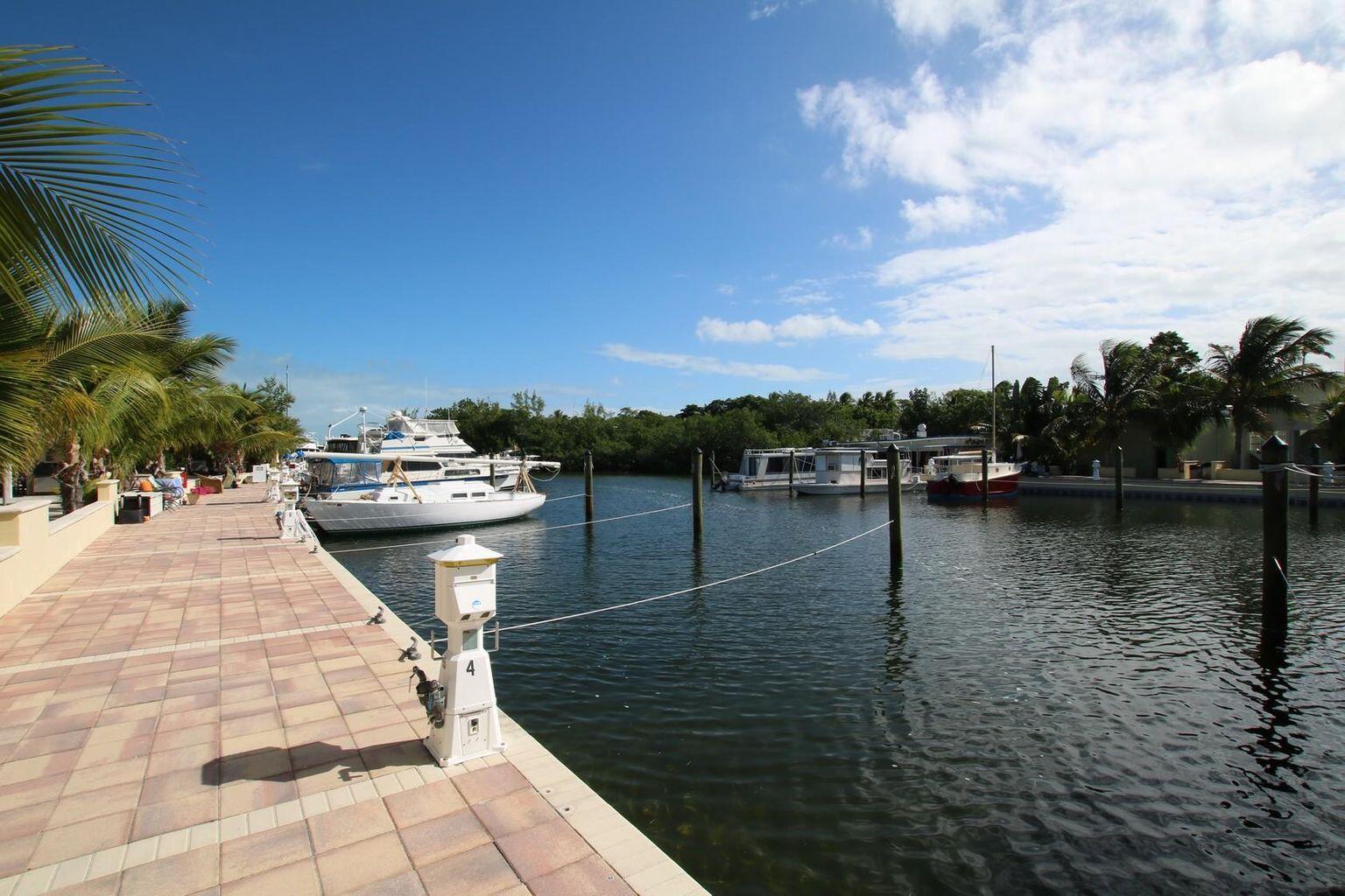 a lake view