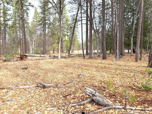 $38,000 | Vanishing Pines Road