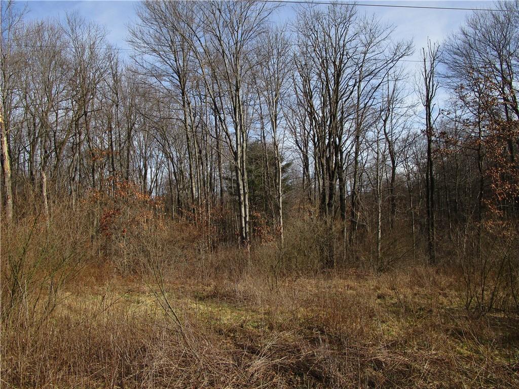 a view of a yard with trees