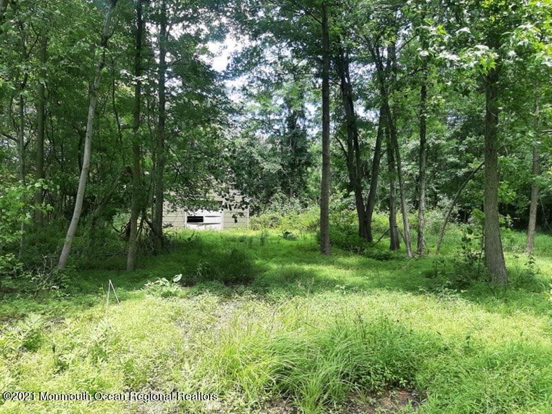 a view of a lush green space