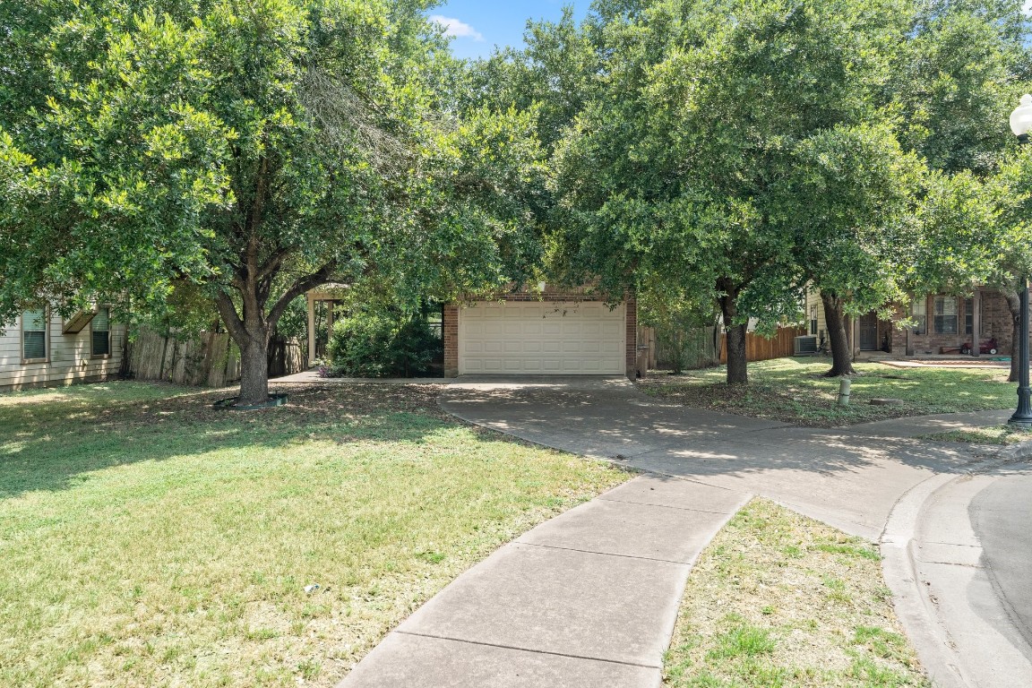 a view of a backyard with large trees