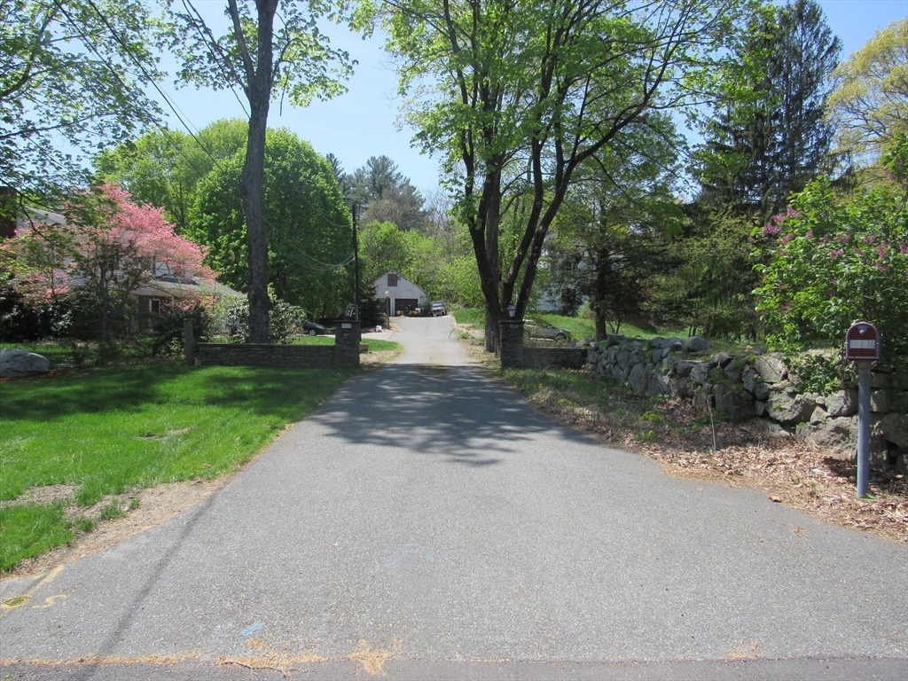 a view of a street with a bench and trees