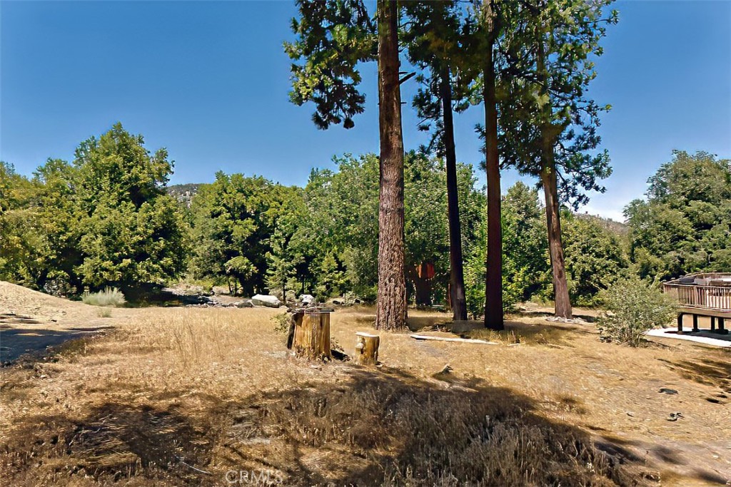 Wide view toward private sanctuary to rear of lot.