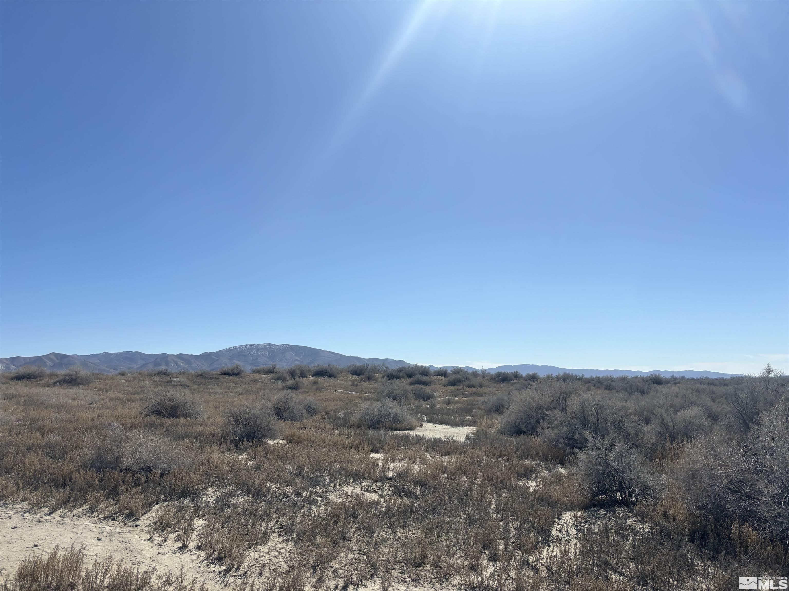 a view of a mountain range with trees in the background