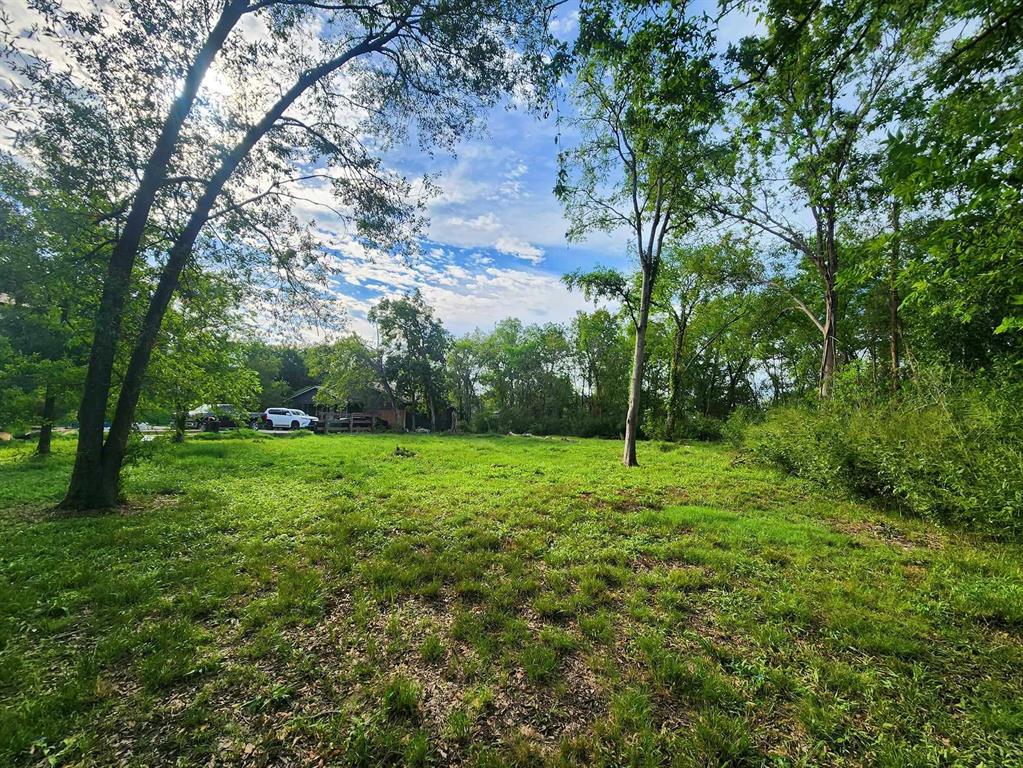 a view of a grassy field with trees