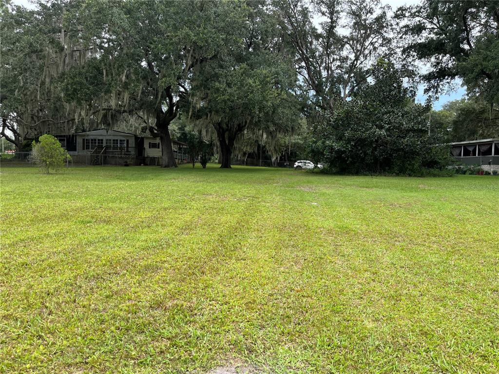 a view of a yard with a trees