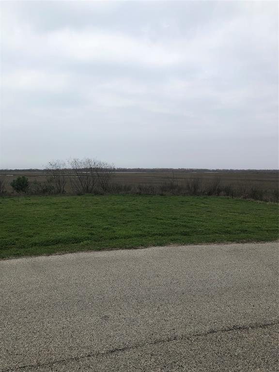 a view of a field with an ocean