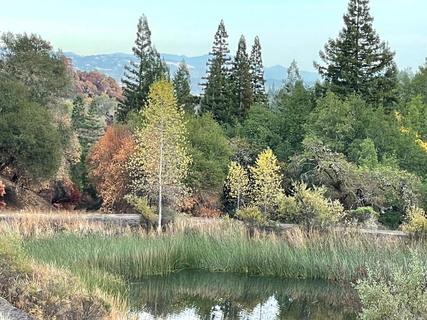 a view of lake