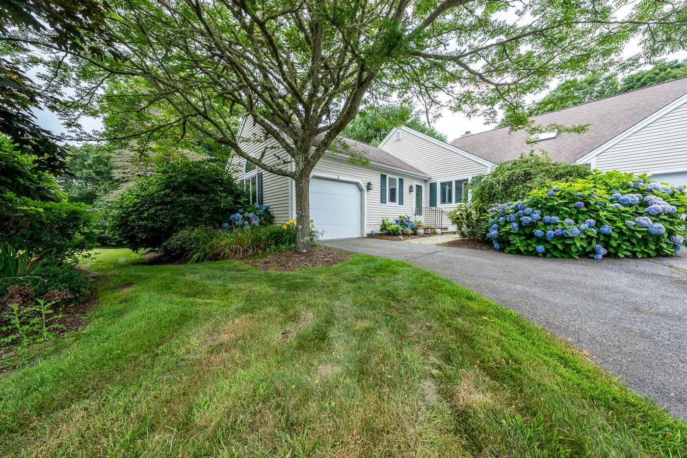 a front view of a house with a yard and a tree