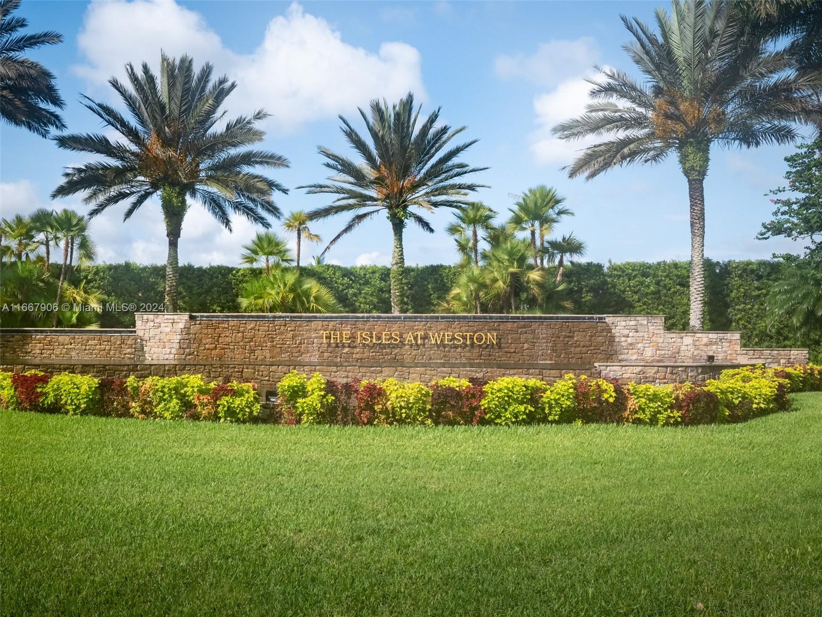 a view of a backyard with palm trees