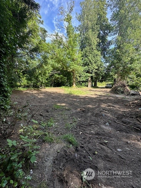 a view of a yard with a trees