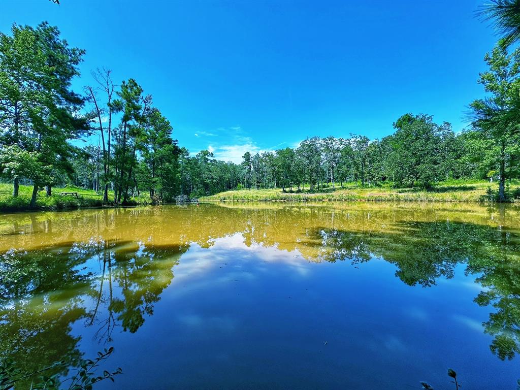 a view of a lake with houses in the back