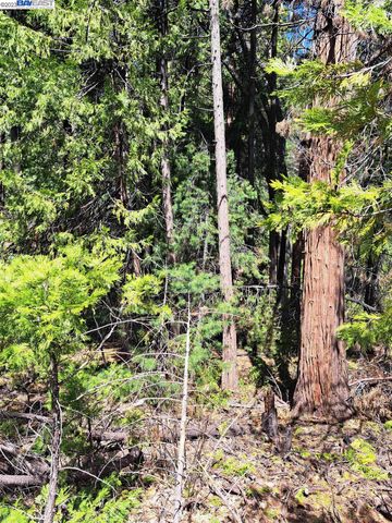 $50,000 | El Dorado County